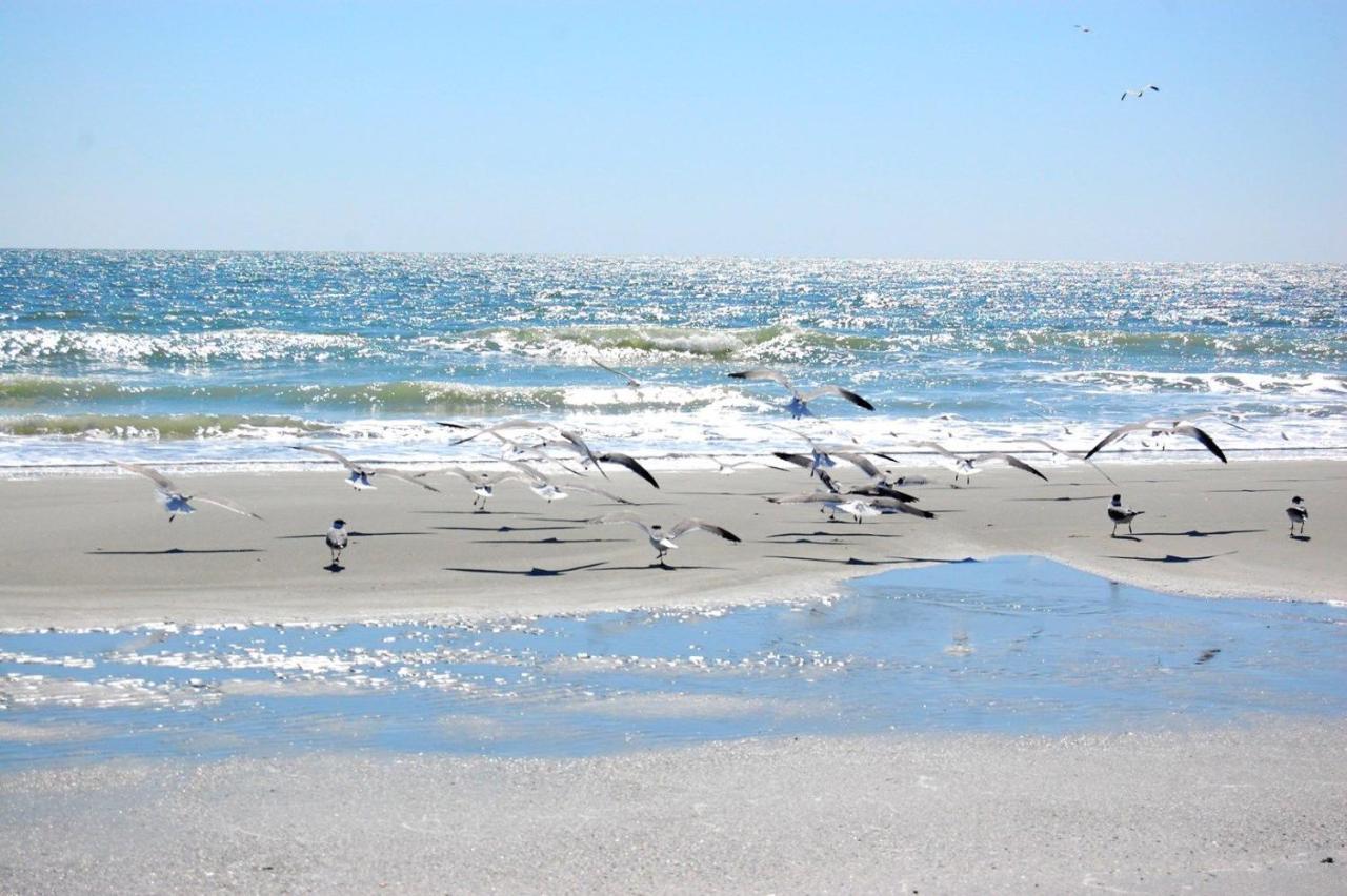 Harbourside 201 * Myrtle Beach